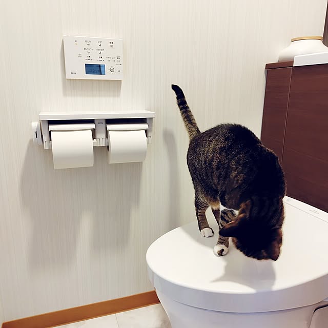 nachiさんの部屋