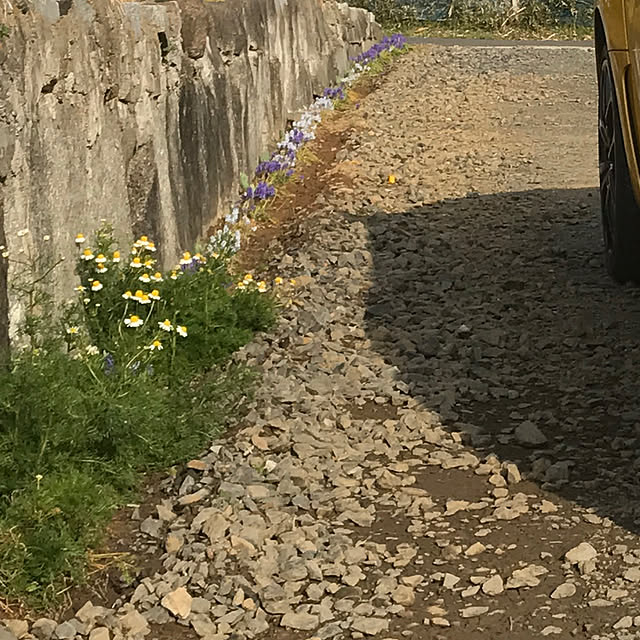 sakurasakuさんの実例写真