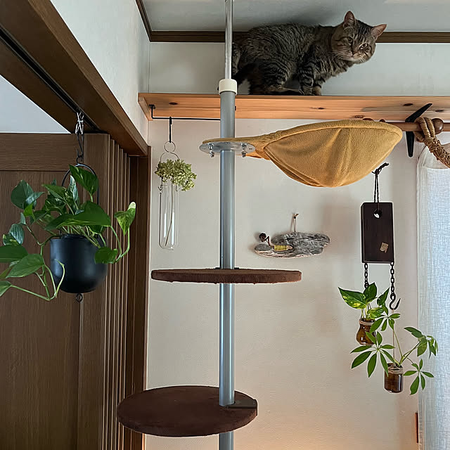 kuuさんの実例写真
