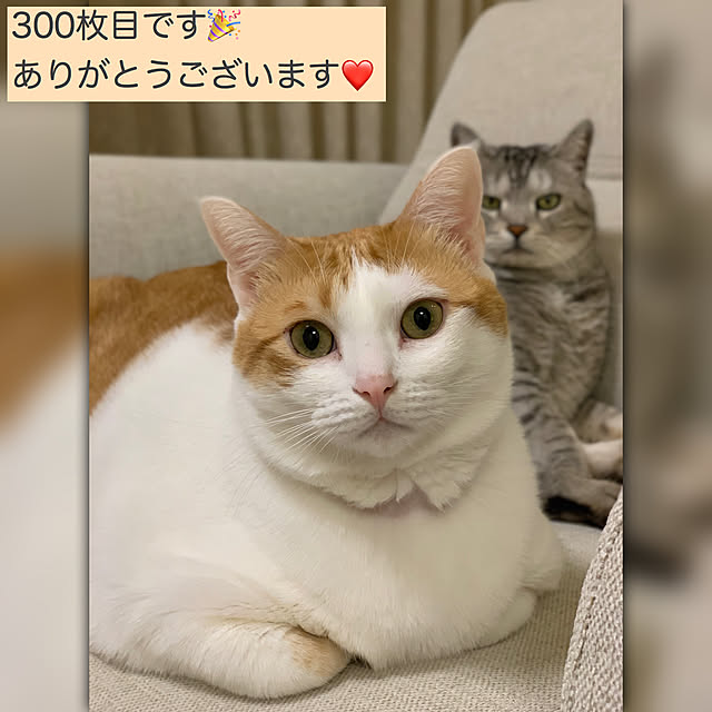 bikkeさんの実例写真