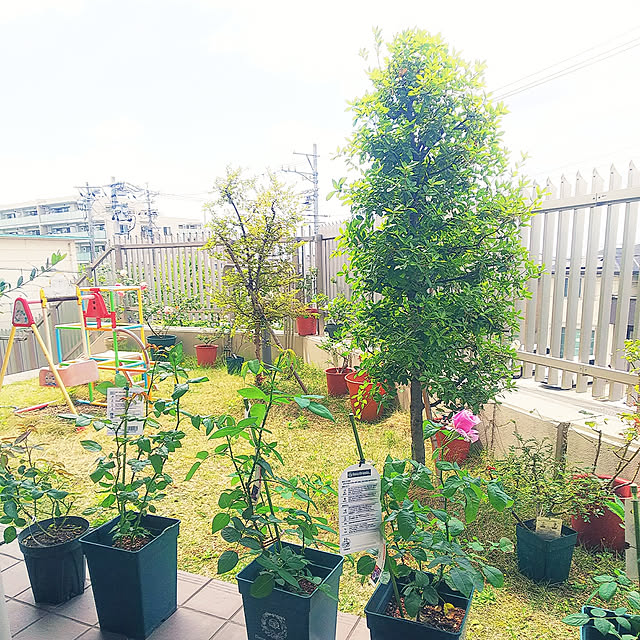hiromimiさんの実例写真