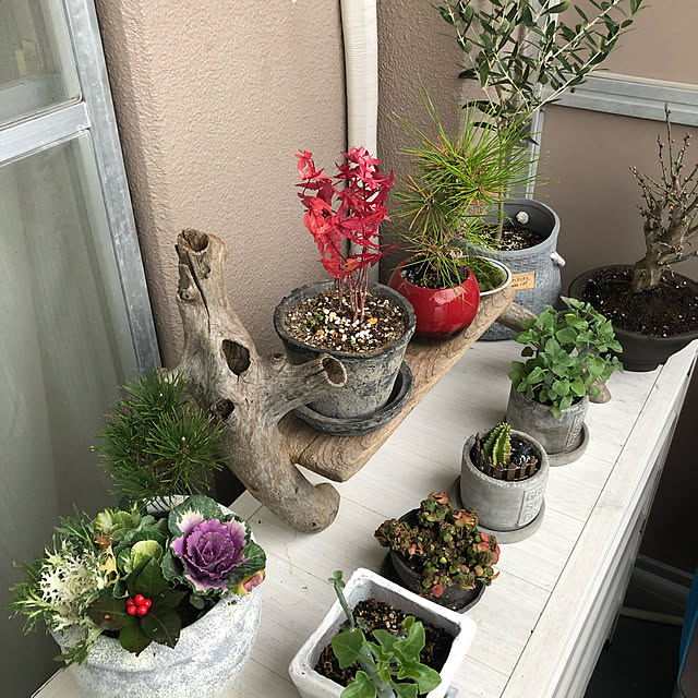 miyakoさんの実例写真