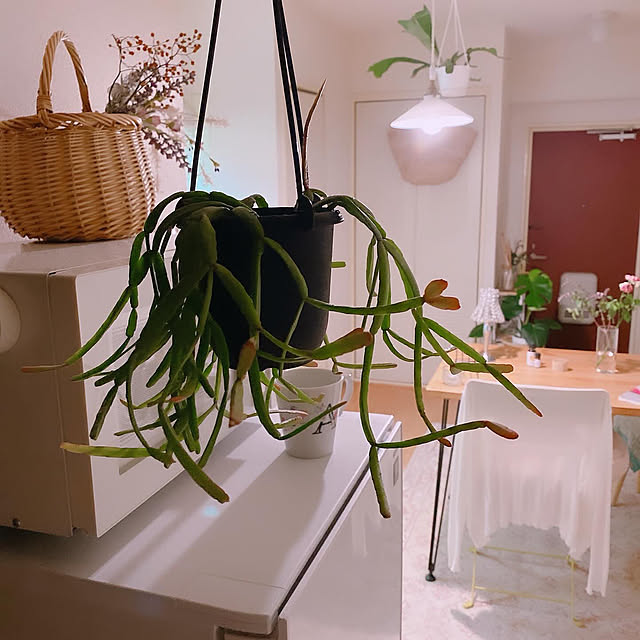 smallroomさんの実例写真