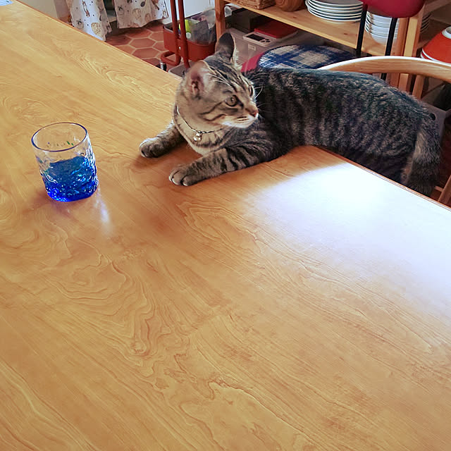 37さんの実例写真