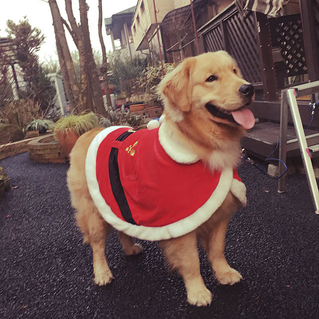 kimkimさんの実例写真