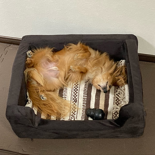 toratanさんの実例写真