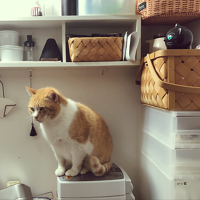 mokiさんの実例写真