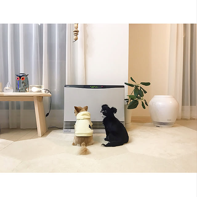 haruhinaさんの実例写真