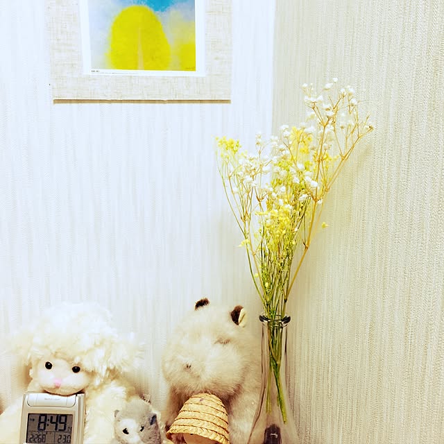 soraさんの実例写真
