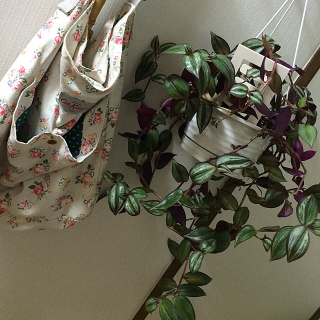 kuさんの実例写真