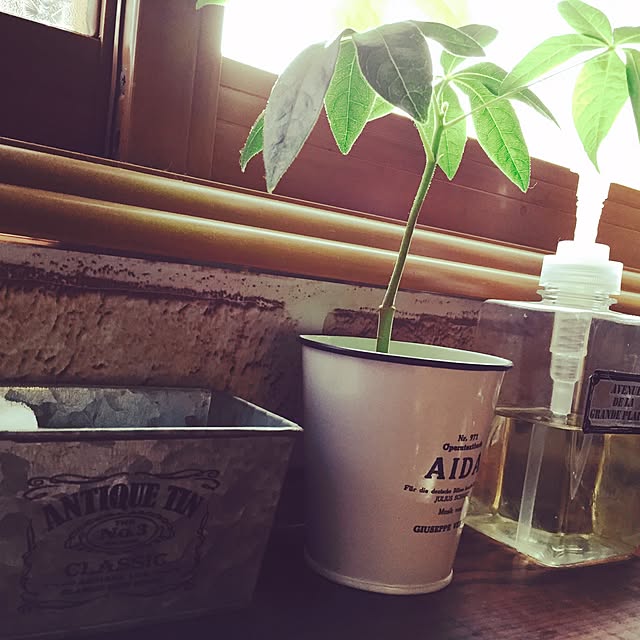 y-kaku528さんの実例写真