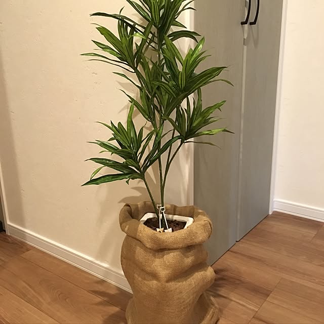 popoさんの実例写真