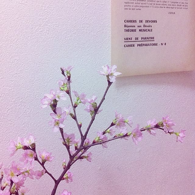 naominさんの実例写真