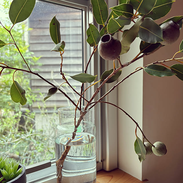 treehouseさんの実例写真