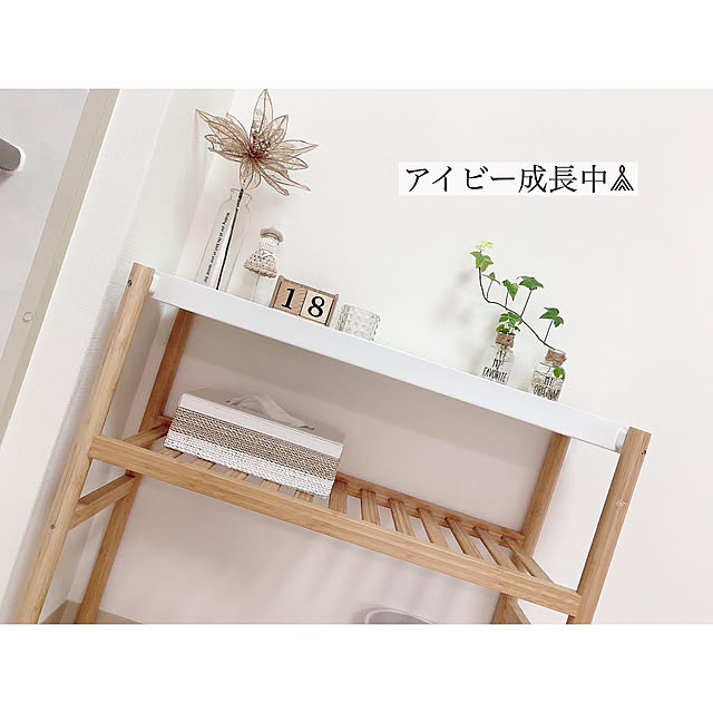 chaluさんの実例写真