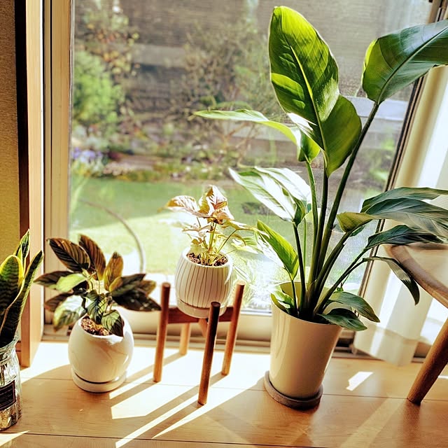 coconathuさんの実例写真