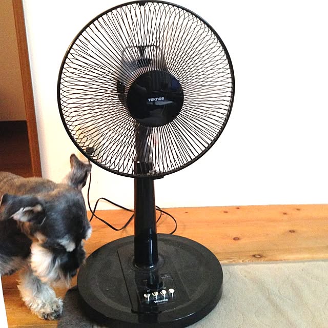 rinkoさんの実例写真