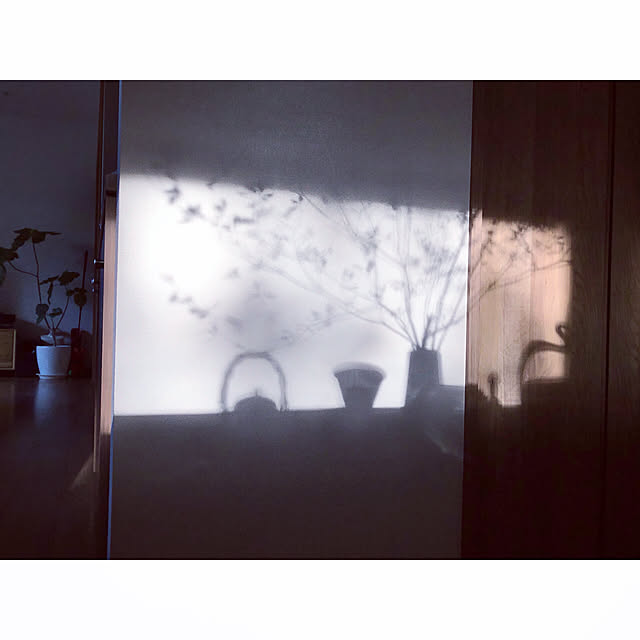 snow-childさんの実例写真