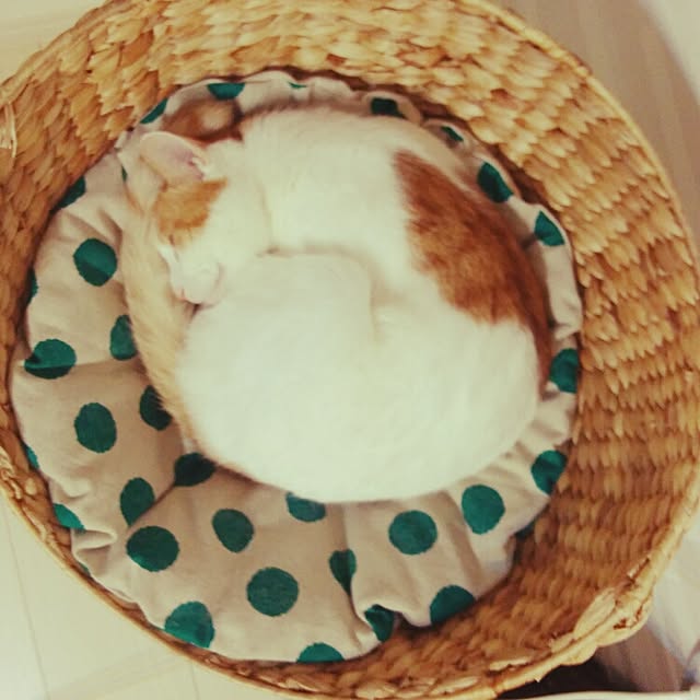 3110さんの実例写真