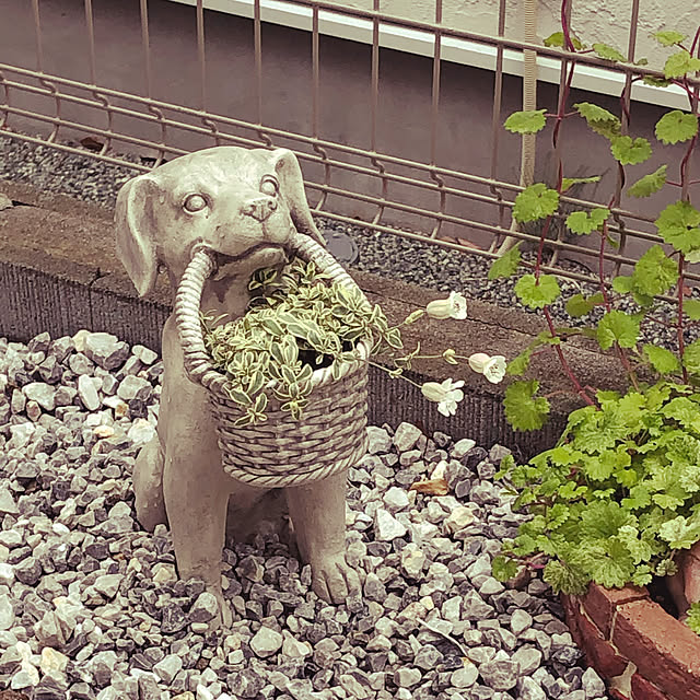 eriさんの実例写真