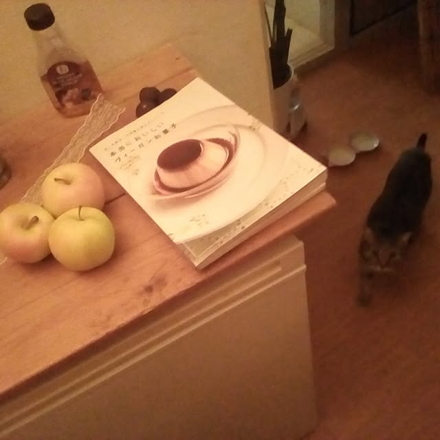 catloveさんの部屋