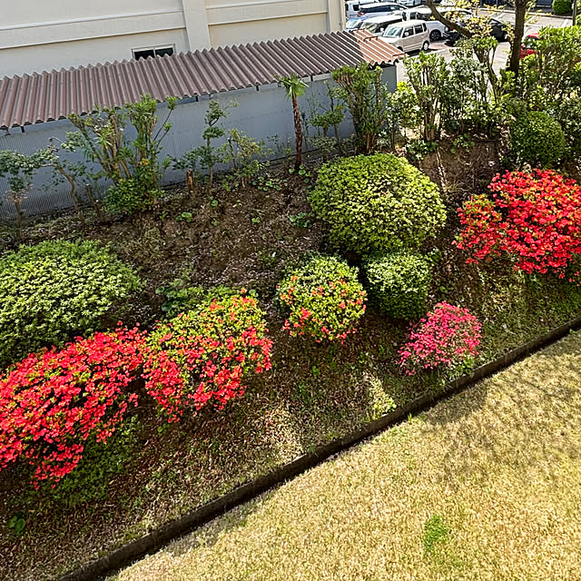 syutmmさんの部屋