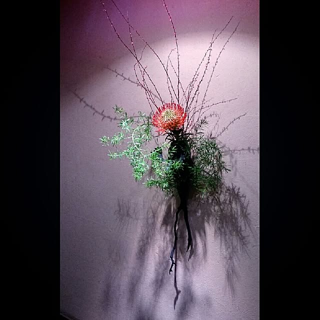 Gravityさんの実例写真
