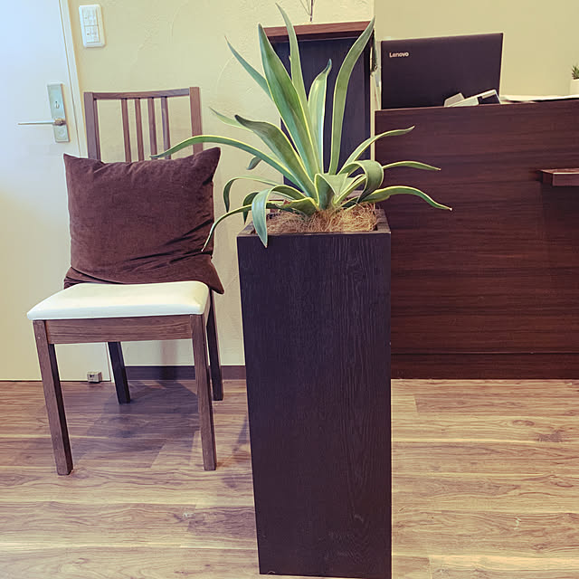 アジアン/リゾート/南国/木製家具/観葉植物...などのインテリア実例 - 2021-08-25 08:18:13