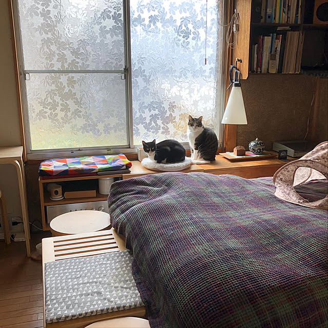 nejimakiさんの実例写真