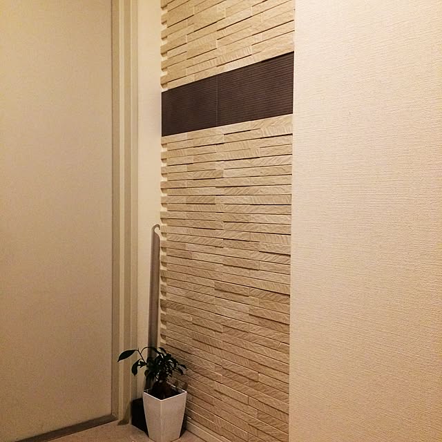 Shokiさんの実例写真
