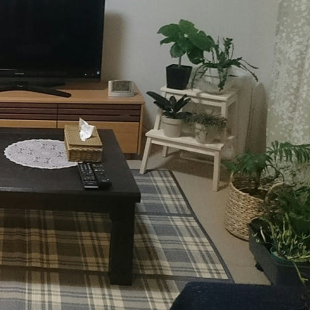 chocococoaさんの実例写真