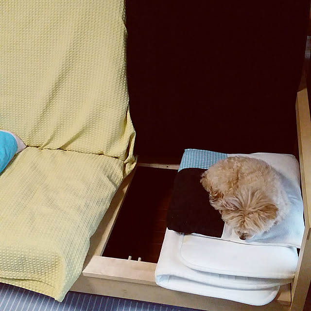 kikiさんの実例写真