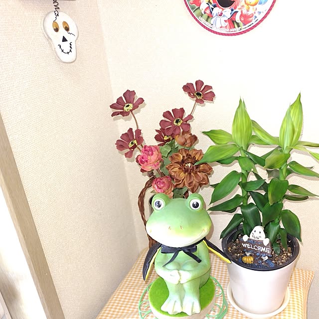 katさんの実例写真