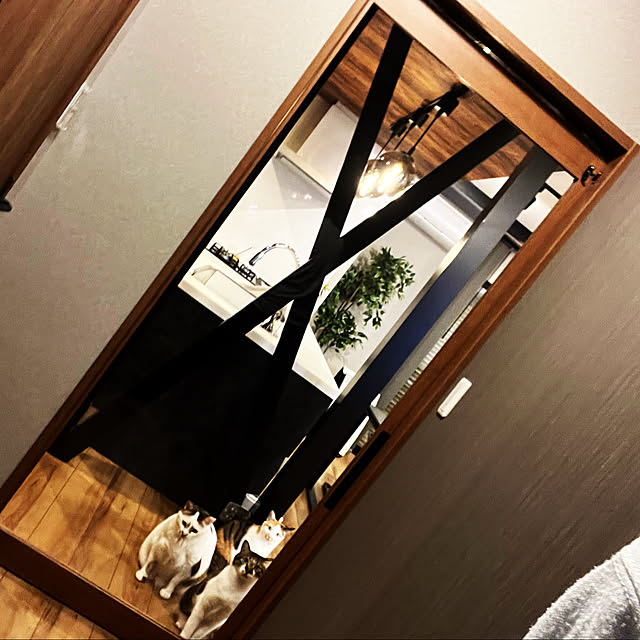 shinさんの実例写真
