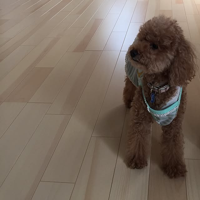 meimeiさんの実例写真