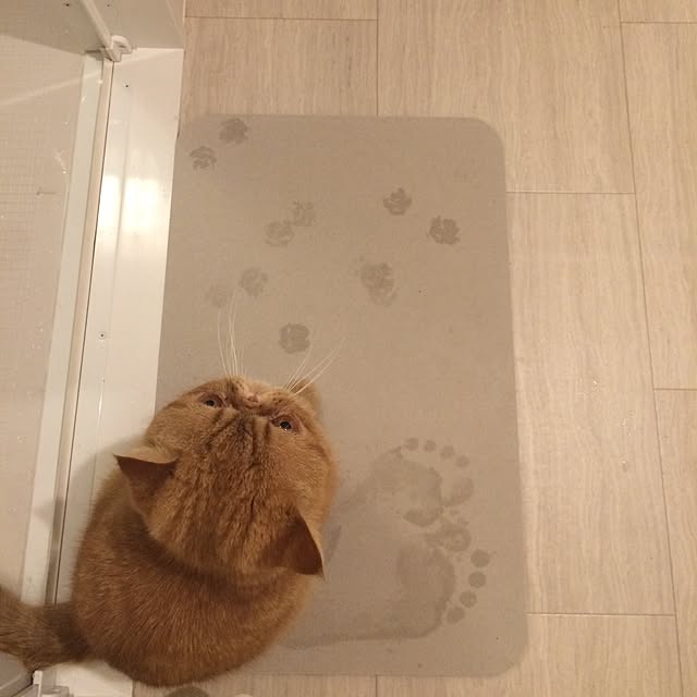 mamizoさんの実例写真