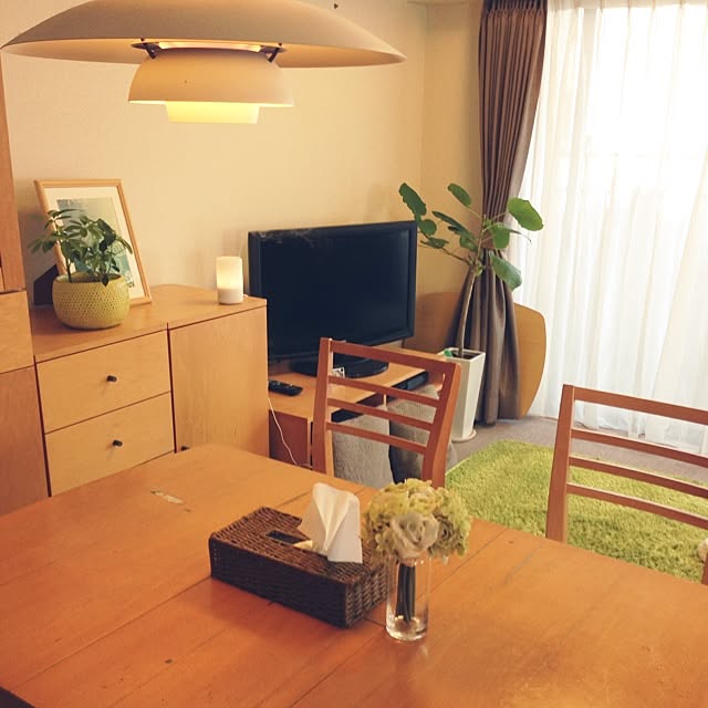 部屋全体/北欧/観葉植物/照明/植物のインテリア実例 - 2014-03-16 13:04:14