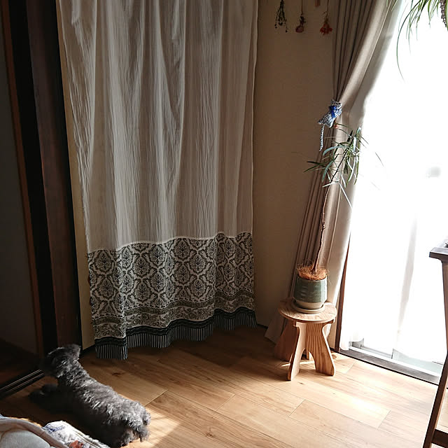 kanonさんの実例写真