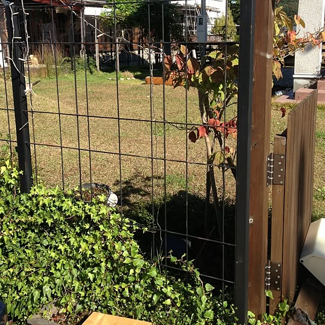 Kazuさんの実例写真
