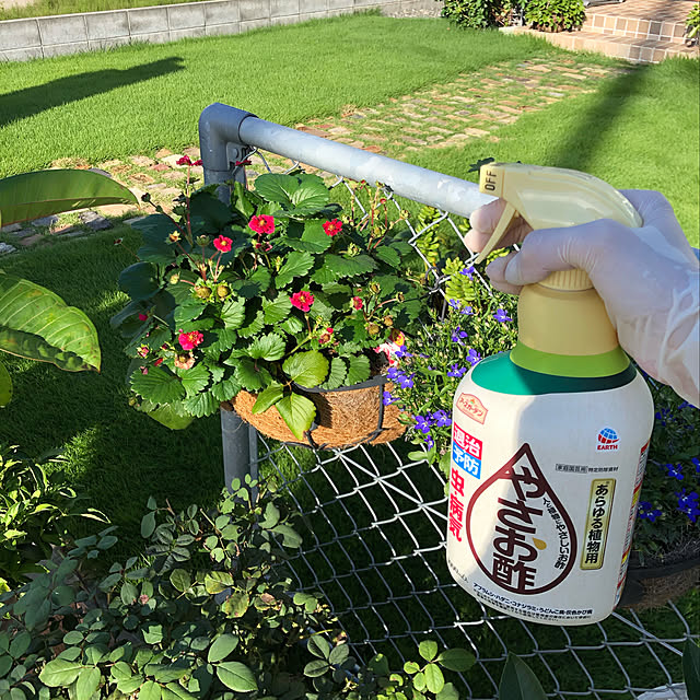 yukiminさんの実例写真