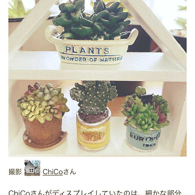 ChiCoさんの実例写真