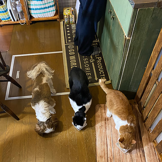 SHIHOさんの実例写真