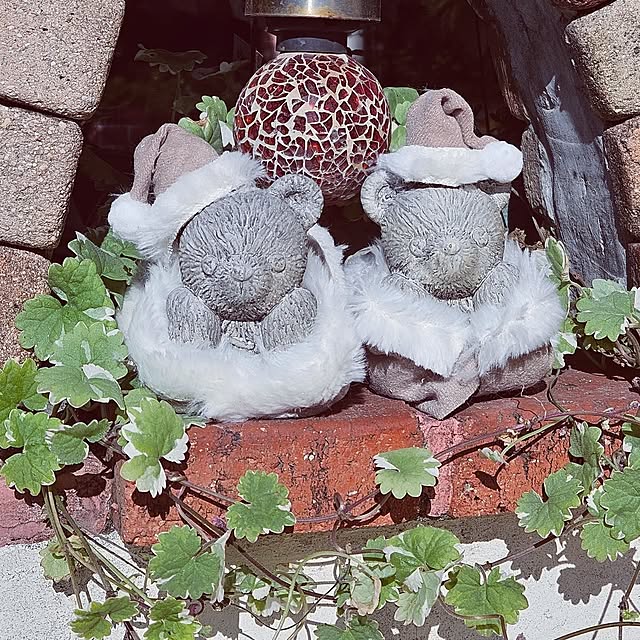 mocomocoさんの実例写真