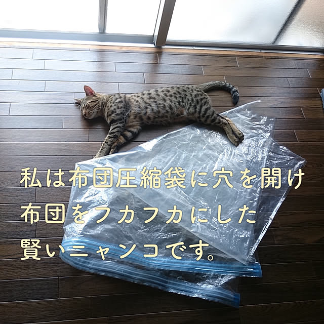 ken.kawakamiさんの実例写真