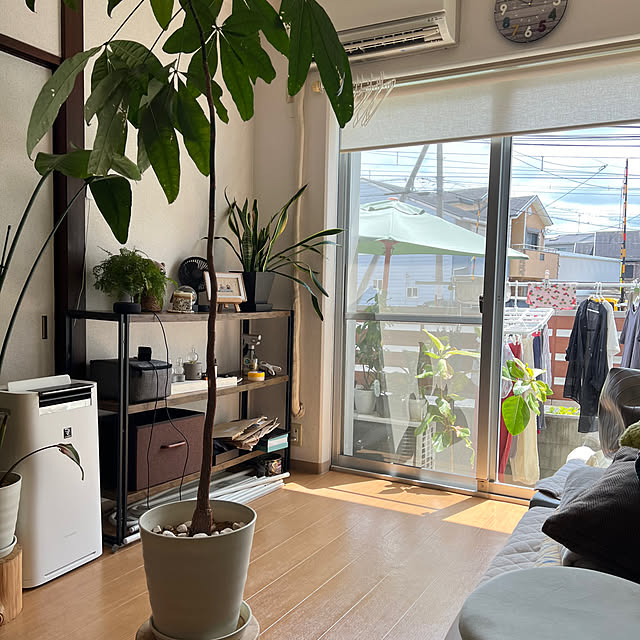 部屋全体/観葉植物/ナチュラル/二人暮らし/シンプル...などのインテリア実例 - 2024-08-16 22:51:58
