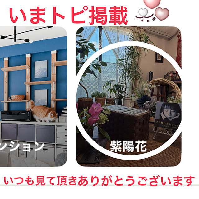 ritsukoさんの実例写真