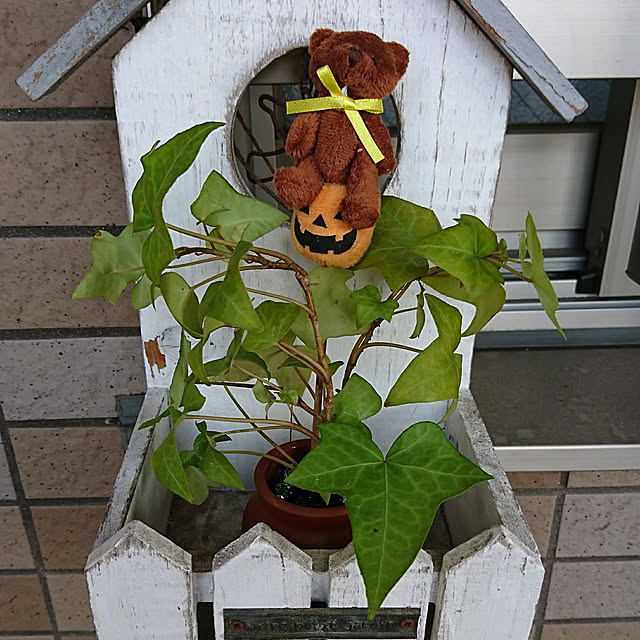 nanaha7さんの実例写真