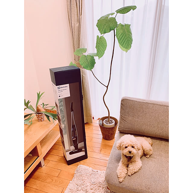 teaさんの実例写真
