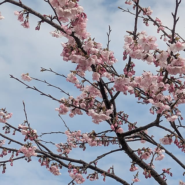 quanshanxia037さんの部屋