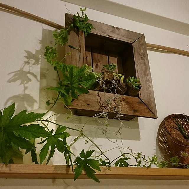 nob.さんの実例写真